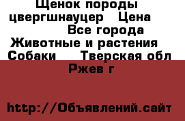 Щенок породы  цвергшнауцер › Цена ­ 30 000 - Все города Животные и растения » Собаки   . Тверская обл.,Ржев г.